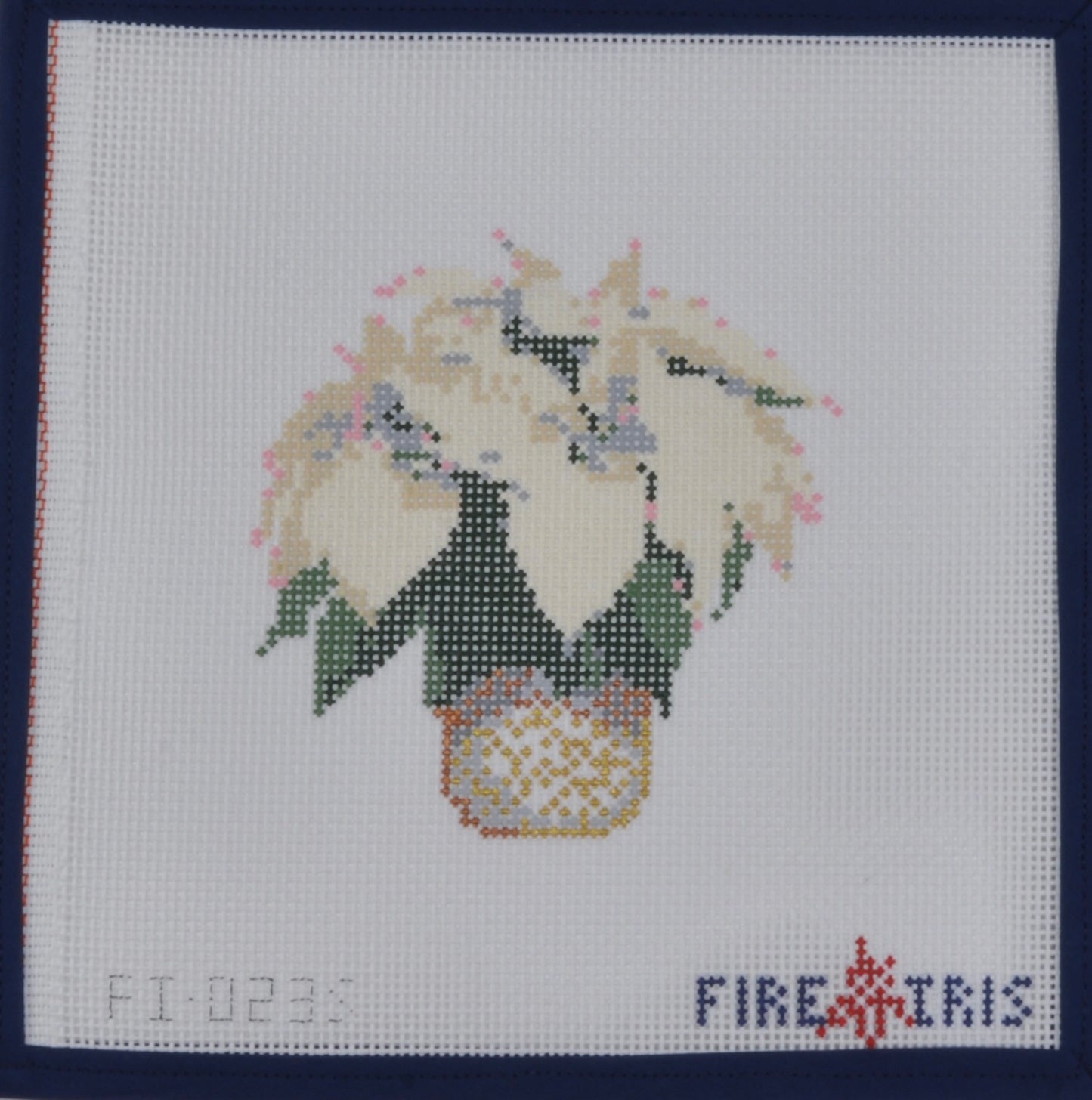 Poinsettia