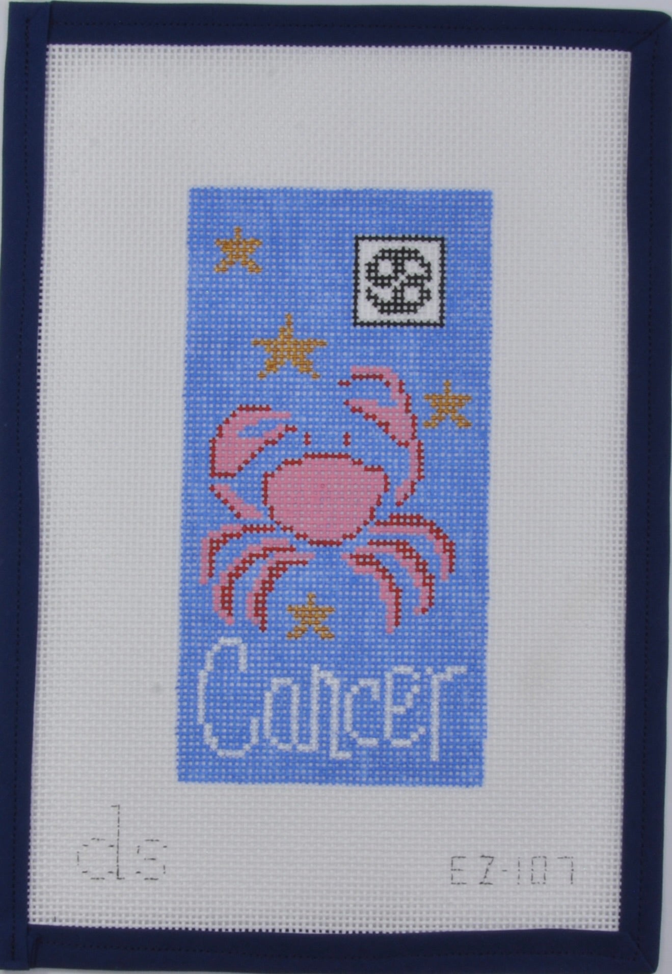 Cancer Eyeglass Case
