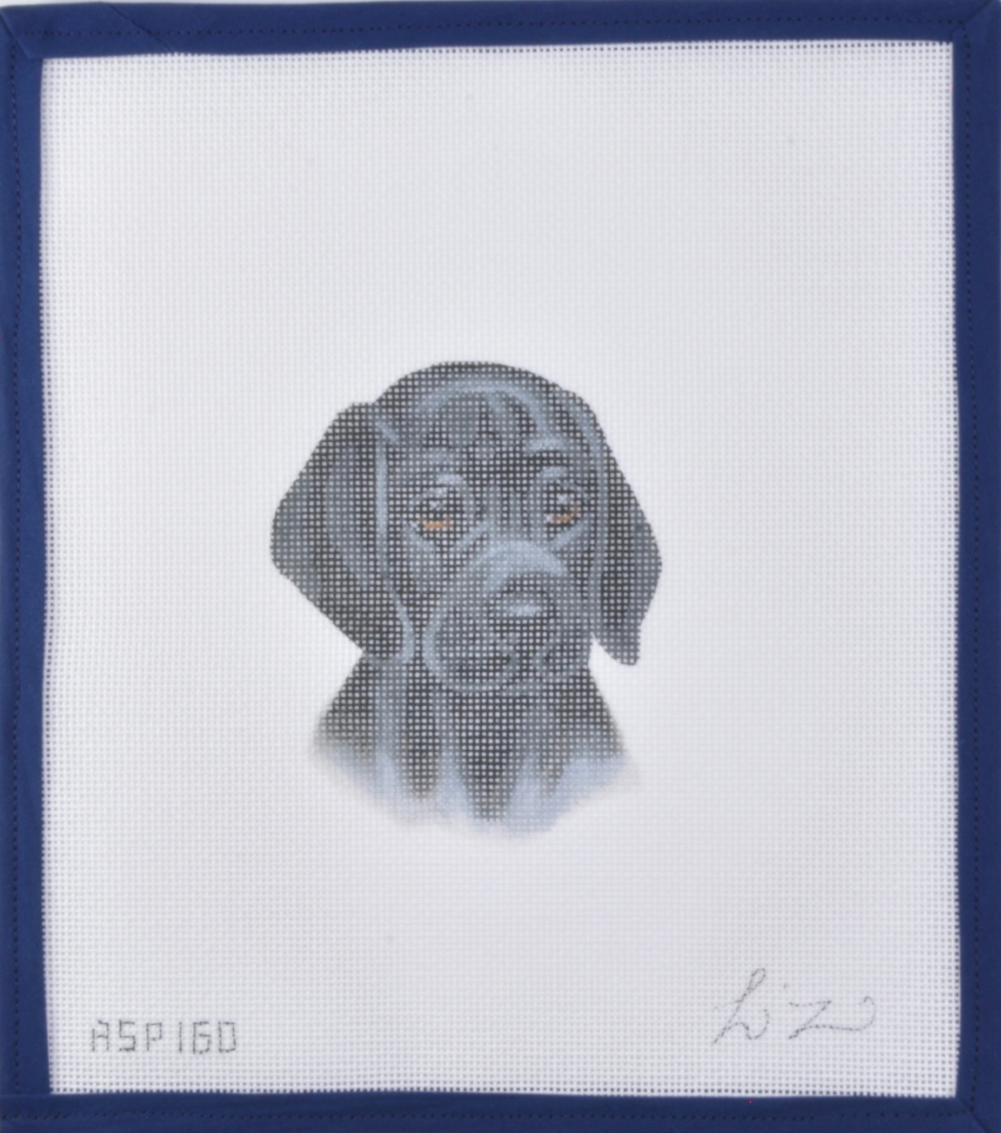 Black Lab Puppy