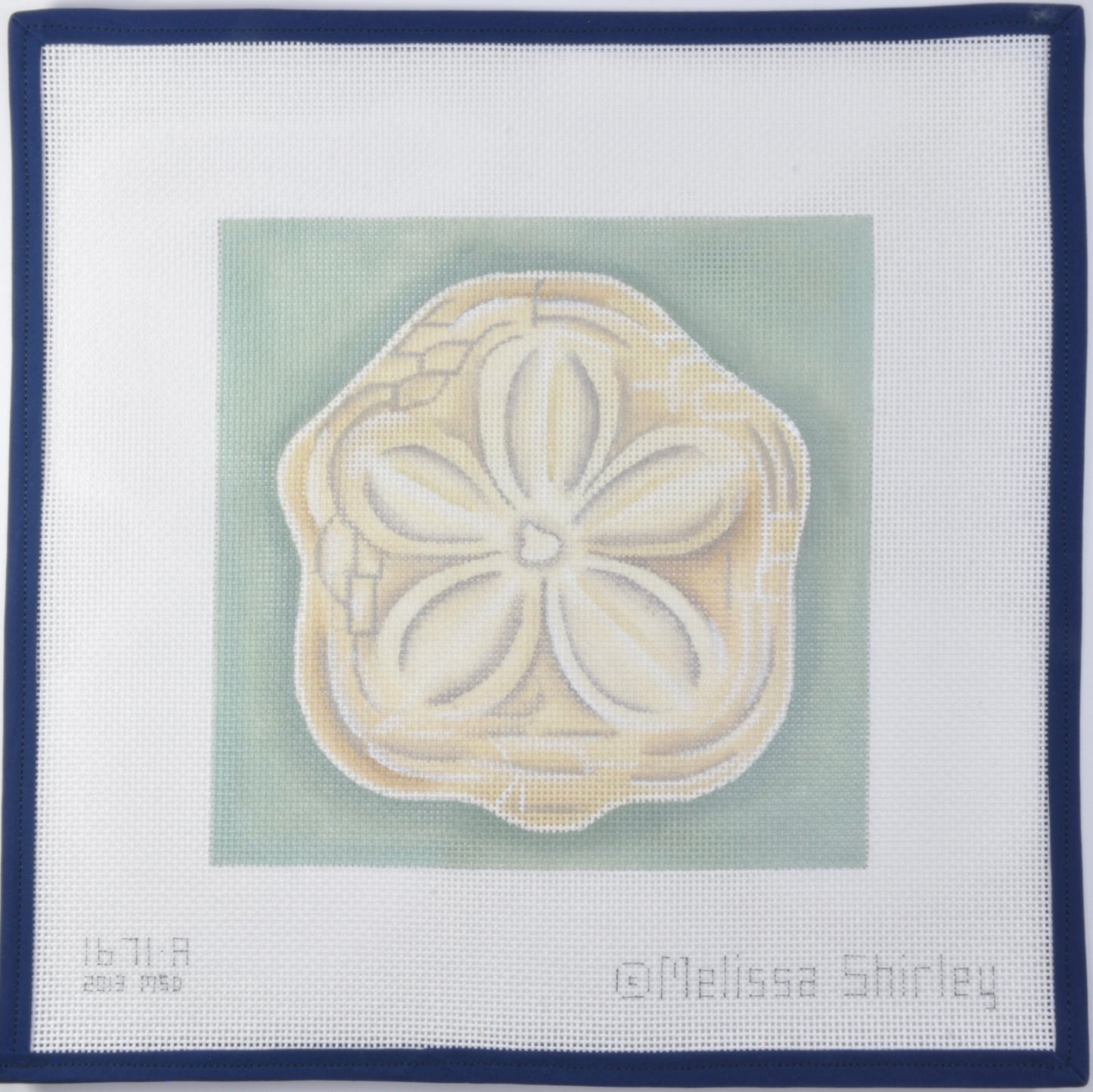 Sand Dollar