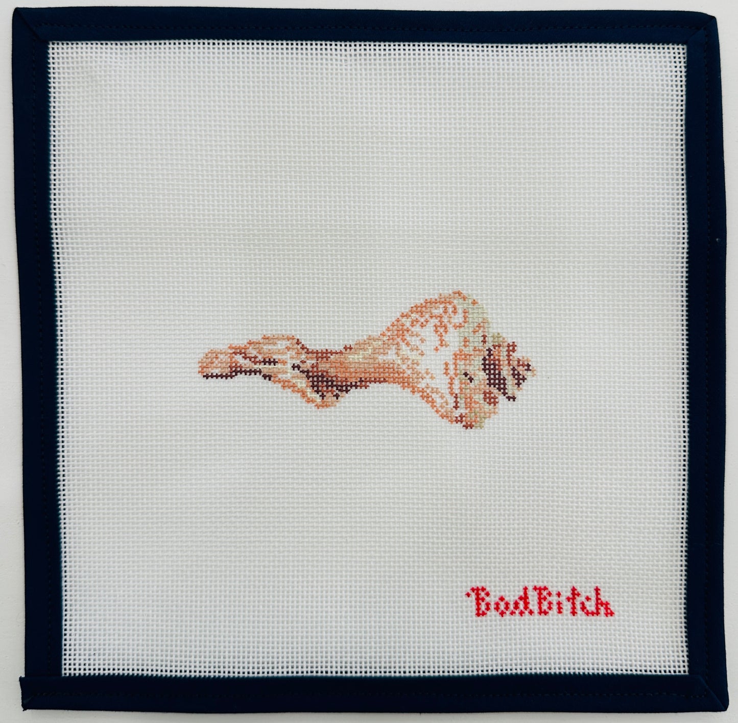 Whelk Shell