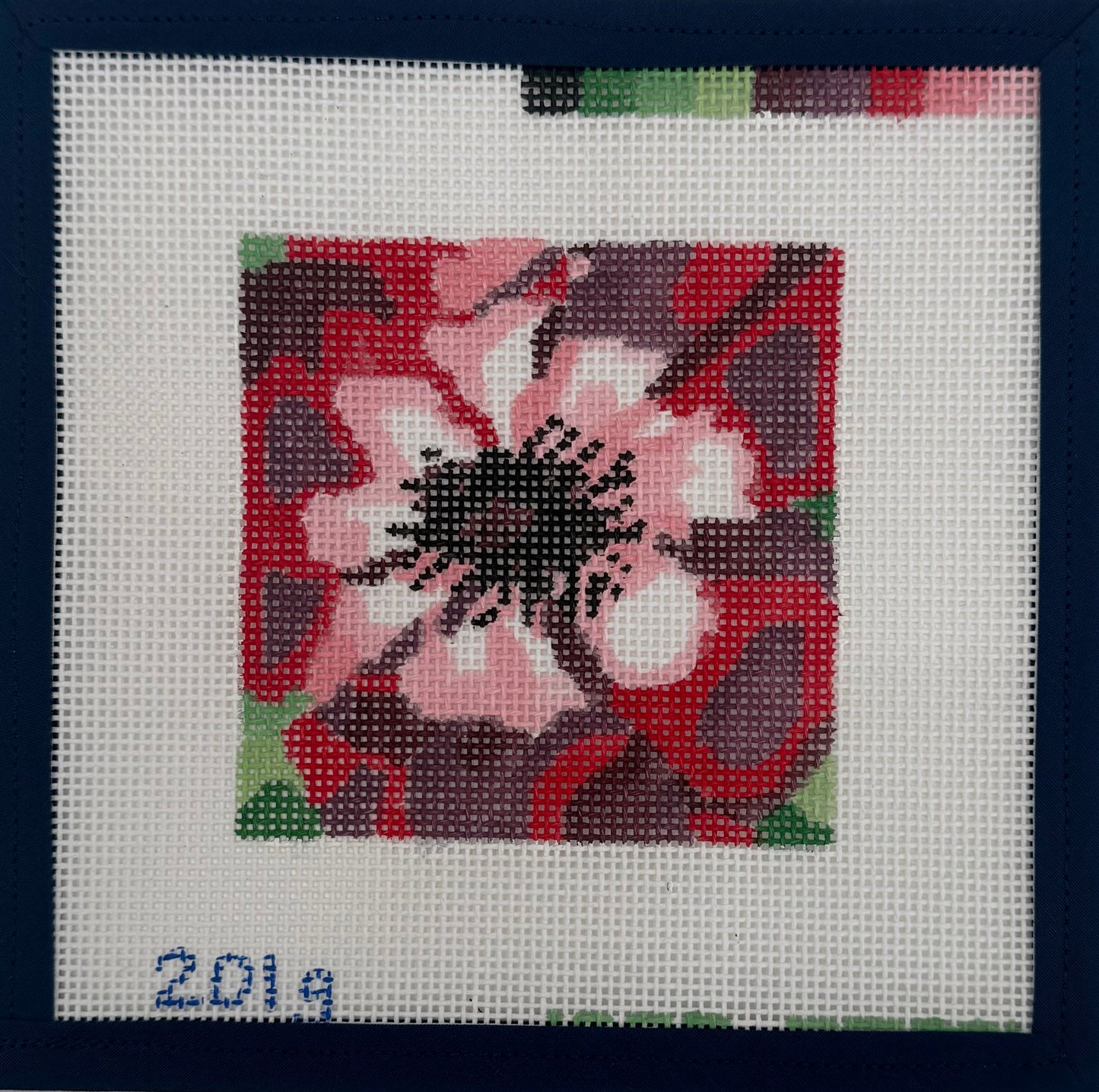Full Bloom Anemone