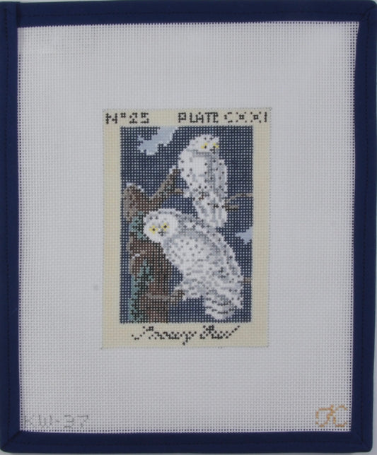 Owls Card
