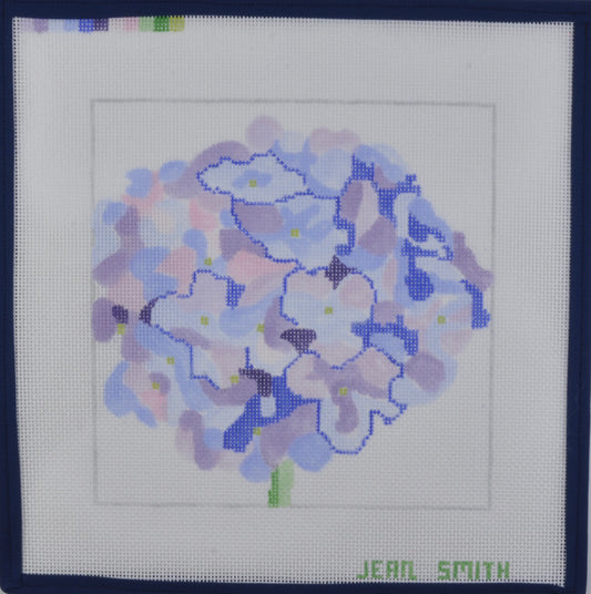 Periwinkle Hydrangia