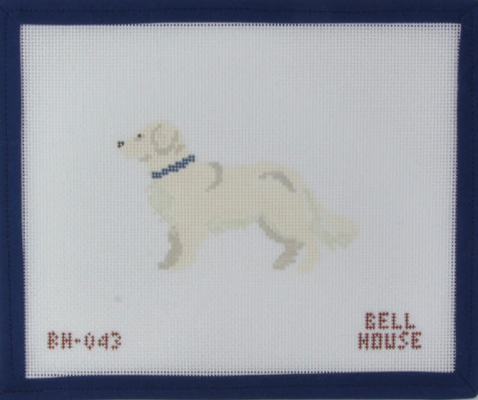 English Cream Golden Retriever