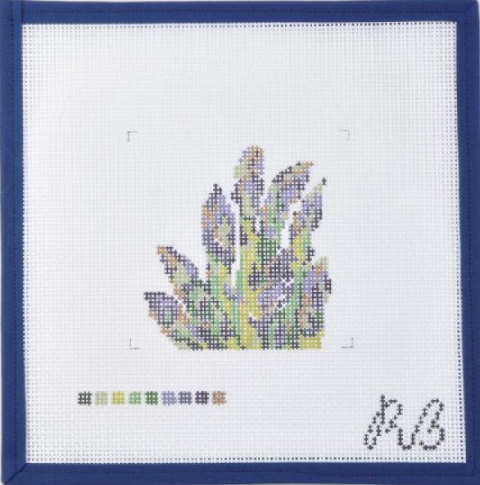 Gilded Asparagus