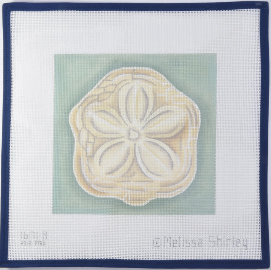 Sand Dollar
