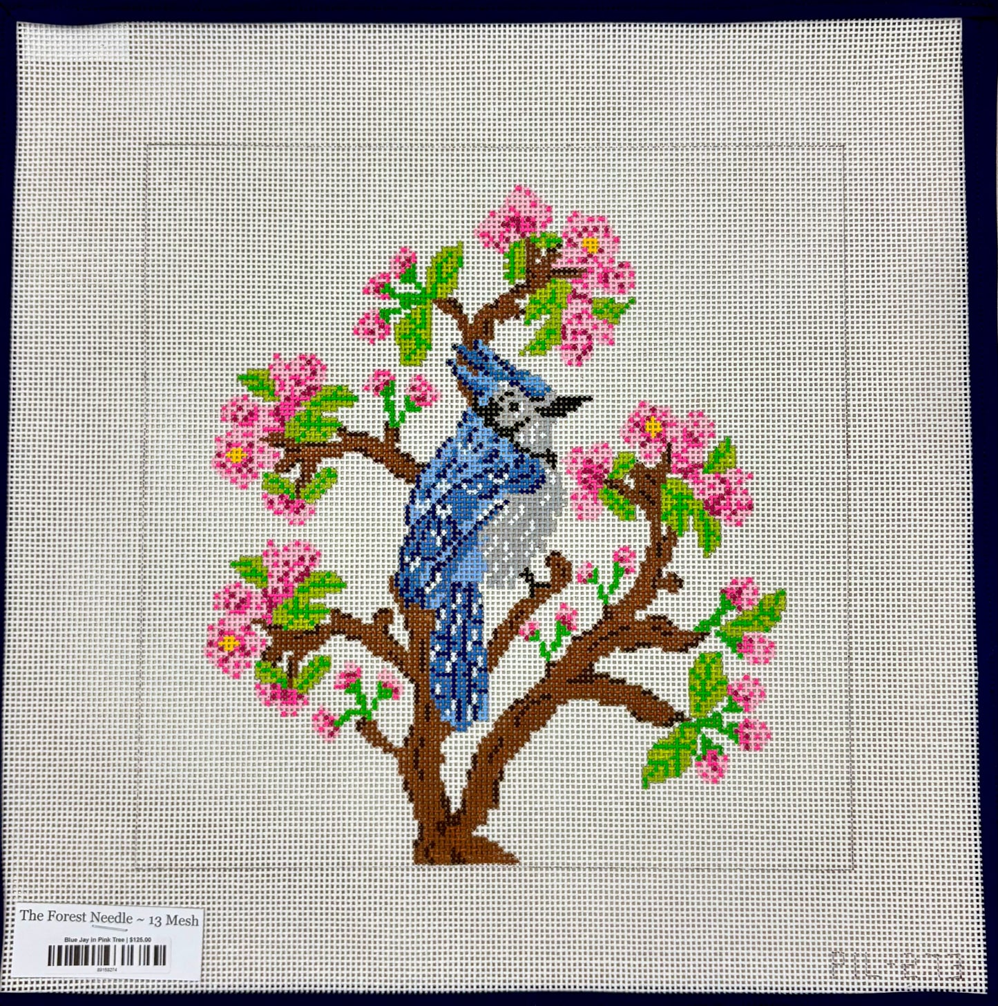 Blue Jay in Pink Tree