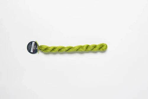 Planet Earth Silk Fern